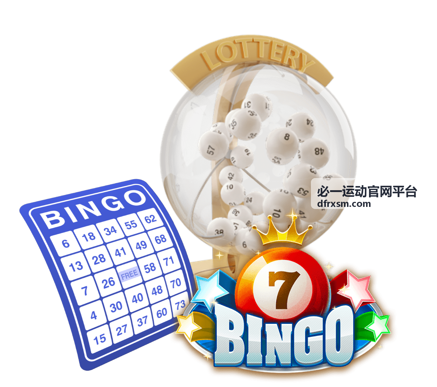 减脂塑形训练计划 - 必一运动官网平台运动训练指南